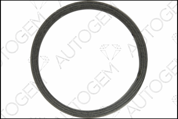 Seal Ring, exhaust pipe (CEG8805)