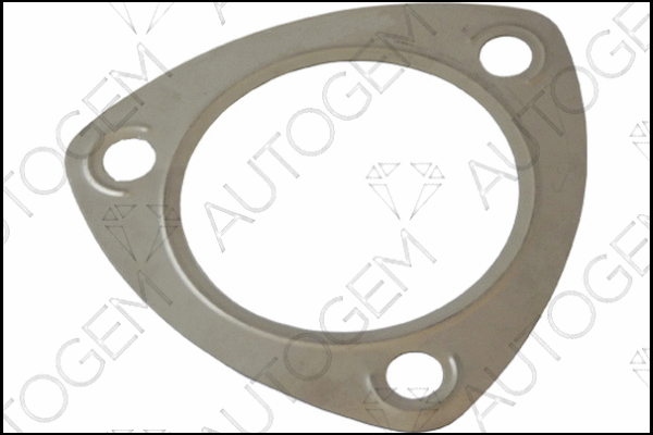 Gasket, exhaust pipe (CEG845)