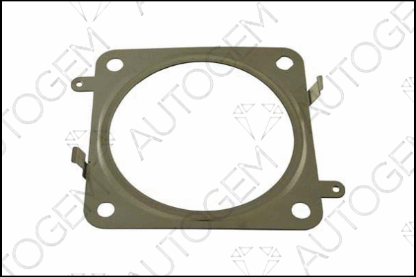 Gasket, exhaust pipe (CEG386)