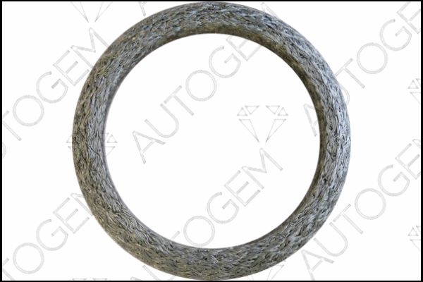 Seal Ring, exhaust pipe (CEG9332)