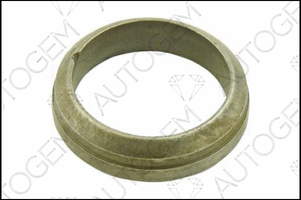 Seal Ring, exhaust pipe (CEG144)
