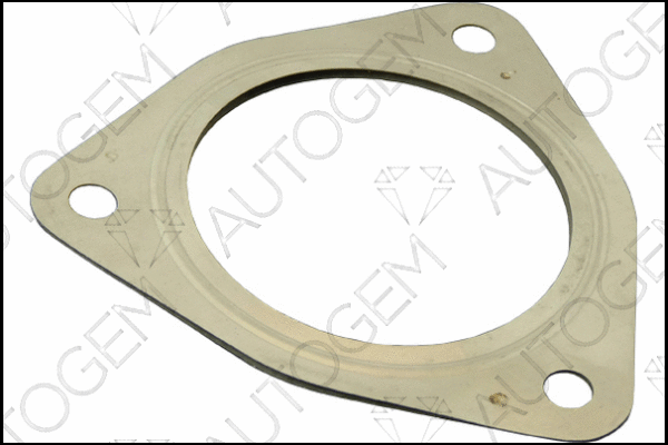 Gasket, exhaust pipe (CEG493)