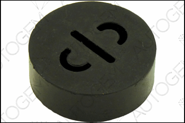 Mount, exhaust system (SM55)