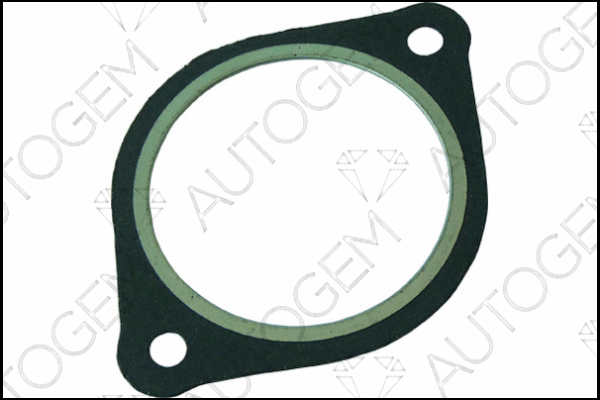 Gasket, exhaust pipe (CEG9503)