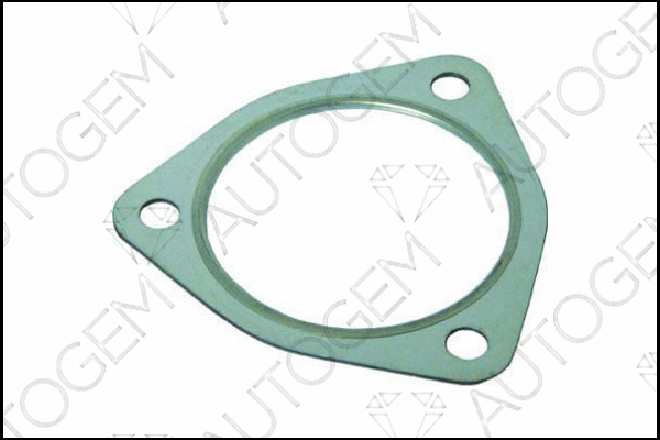 Gasket, exhaust pipe (CEG9954)