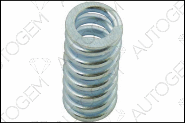 Spring, muffler (CSC137)