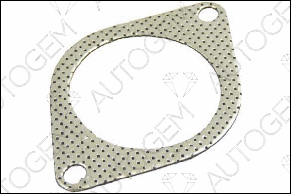 Gasket, exhaust pipe (CEG812)