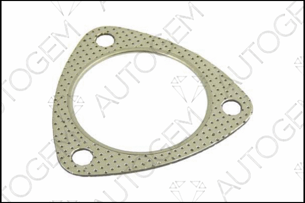 Gasket, exhaust pipe (CEG7503)