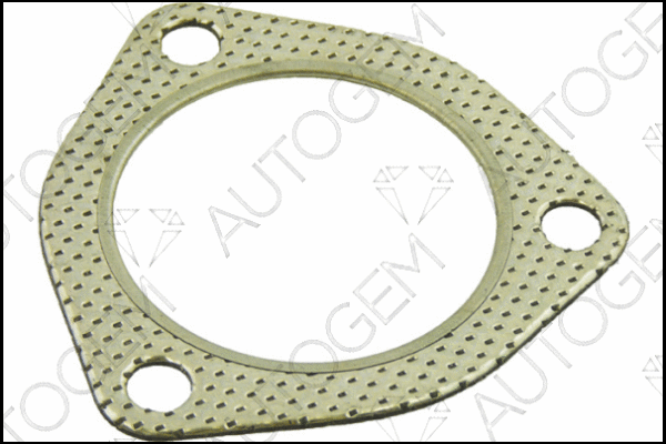 Gasket, exhaust pipe (CEG479)