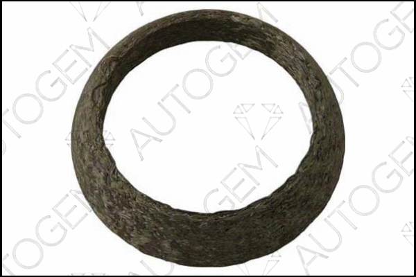 Seal Ring, exhaust pipe (CEG738)