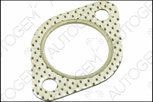 Gasket, exhaust pipe (EG19)