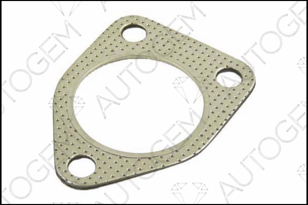 Gasket, exhaust pipe (CEG700)
