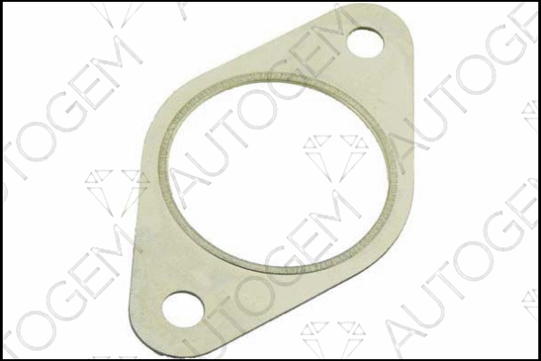 Gasket, exhaust pipe (EG89)