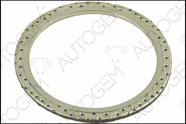 Gasket, exhaust pipe (CEG579)