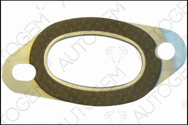 Gasket, exhaust manifold (CEG9904)