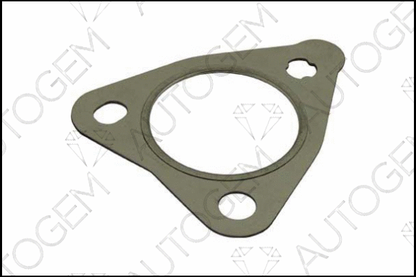 Gasket, exhaust pipe (CEG377)