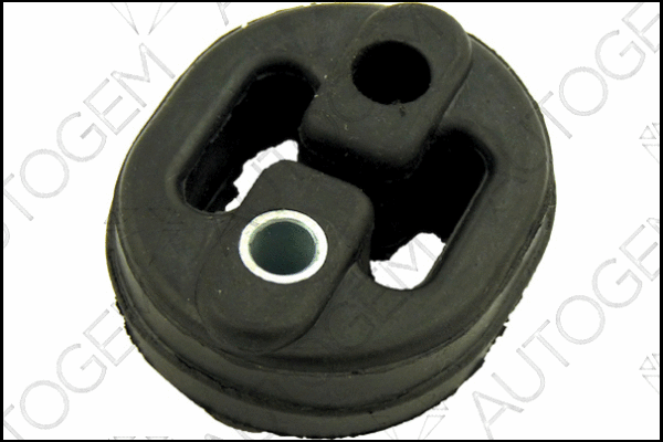 Mount, exhaust system (CSM313)