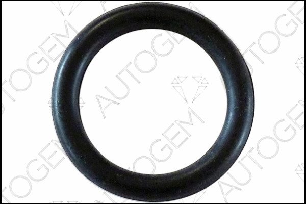 Gasket, intake manifold (CSM575)