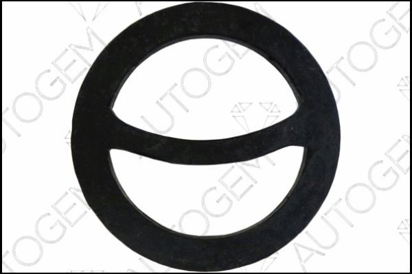 Mount, exhaust system (CSM4501)