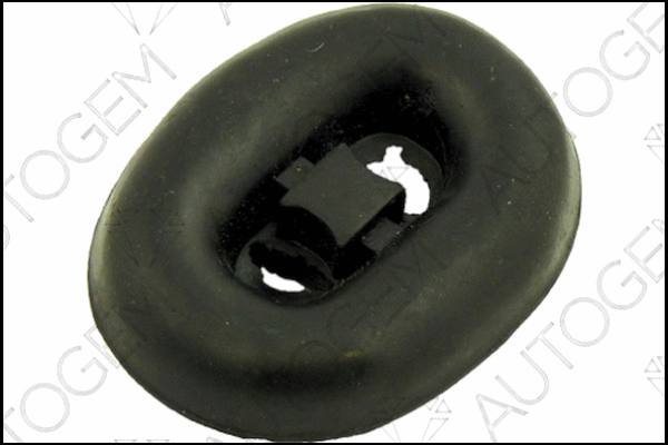 Mount, exhaust system (CSM564)