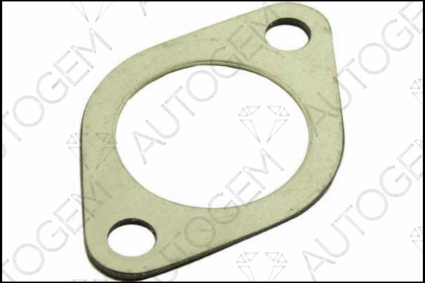 Gasket, exhaust pipe (CEG66)