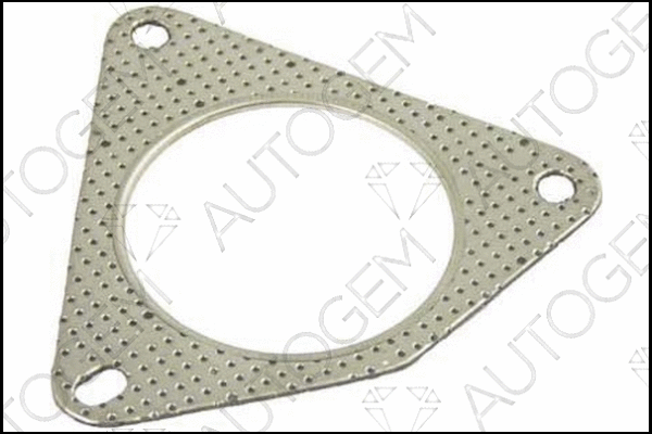 Gasket, exhaust pipe (CEG810)