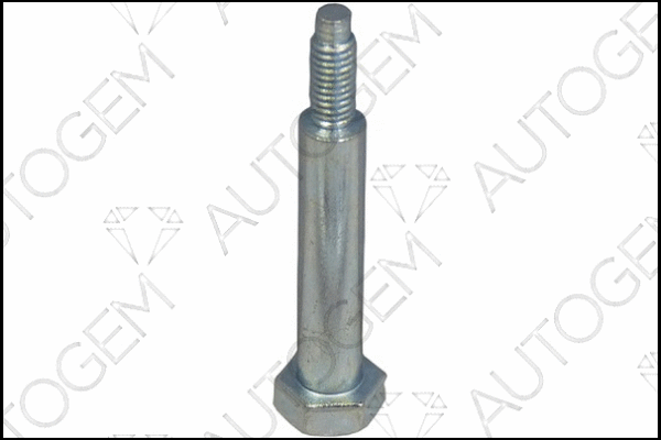 Bolt, exhaust system (EMS60)