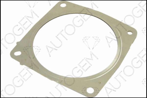 Gasket, exhaust pipe (CEG786)