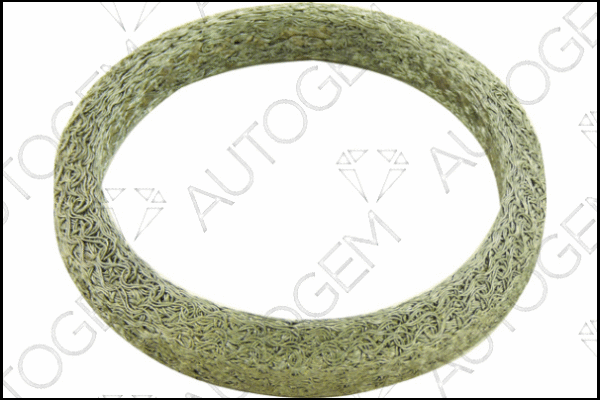 Seal Ring, exhaust pipe (CEG4448)