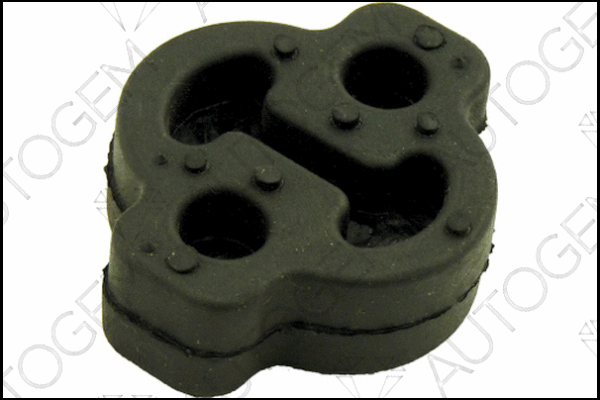 Mount, exhaust system (CSM101EP)