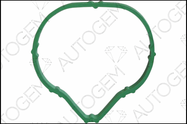 Gasket, intake manifold (CSM7808)
