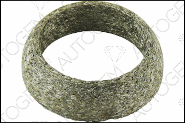 Seal Ring, exhaust pipe (CEG627)