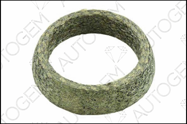 Seal Ring, exhaust pipe (CEG683)
