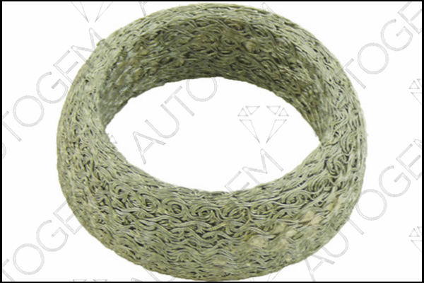 Seal Ring, exhaust pipe (CEG383)