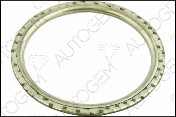 Seal Ring, exhaust pipe (CEG201)