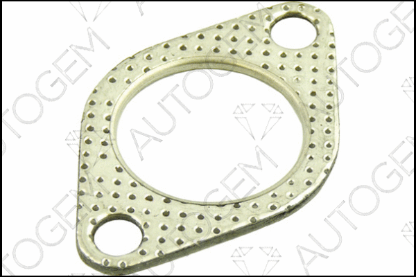 Gasket, exhaust pipe (CEG612)