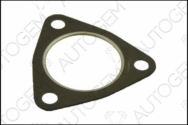 Gasket, exhaust pipe (CEG332)