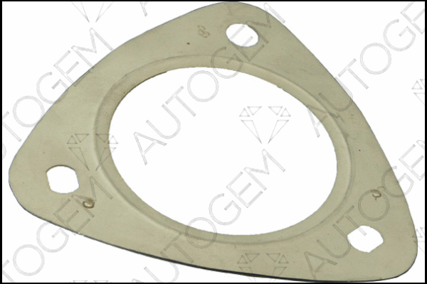 Gasket, exhaust pipe (CEG7521)