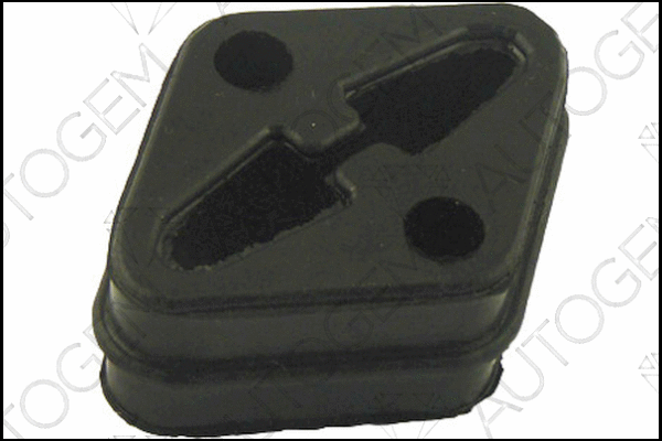 Mount, exhaust system (CSM848)