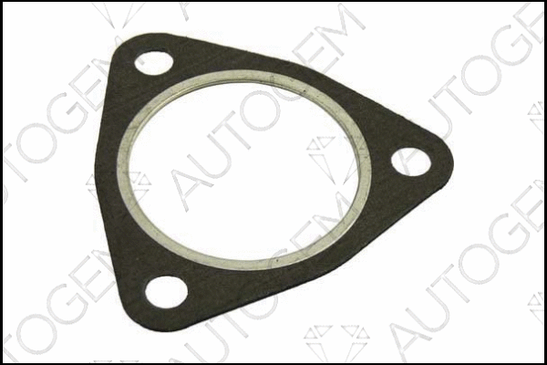 Gasket, exhaust pipe (CEG760)