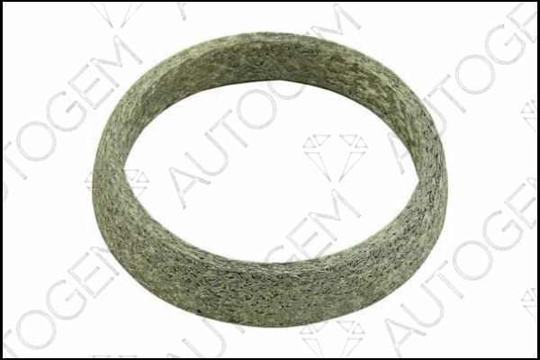 Seal Ring, exhaust pipe (CEG163)