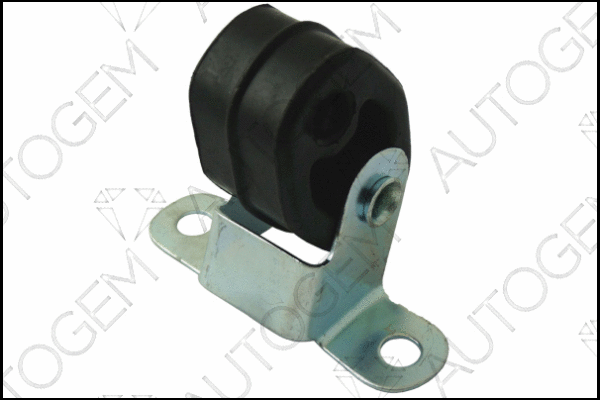 Mount, exhaust system (CSM210)