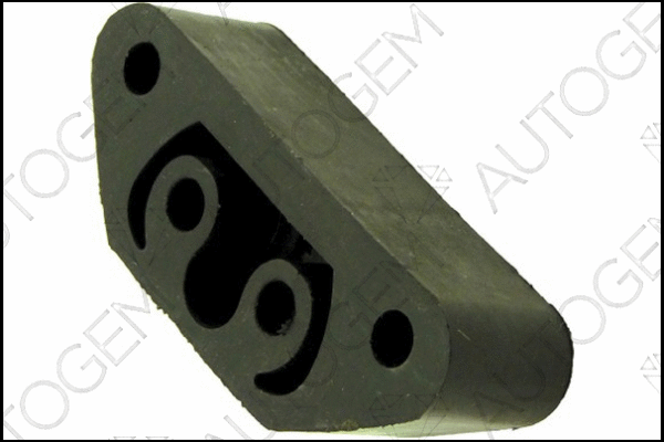 Mount, exhaust system (CSM85)