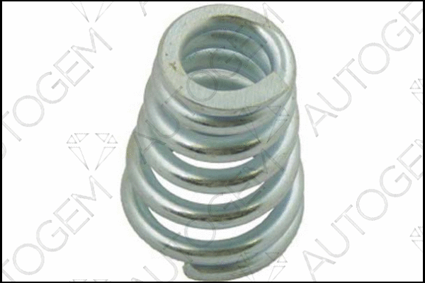 Spring, muffler (CSC210)