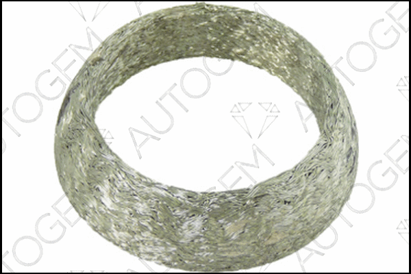 Seal Ring, exhaust pipe (CEG900)