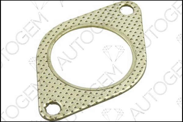 Gasket, exhaust pipe (CEG292)