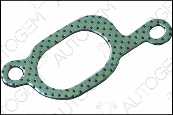 Gasket, exhaust manifold (CEG8101)