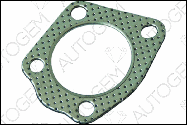 Gasket, exhaust pipe (CEG8102)