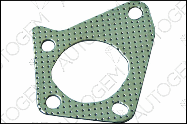 Gasket, exhaust pipe (CEG8104)