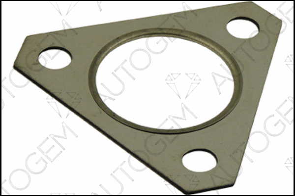 Gasket, exhaust pipe (CEG157)